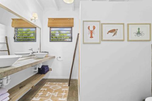 1652sabal_palm-true_media_culture-25
