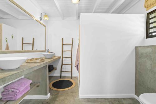 625sabal_palm-true_media_culture-20