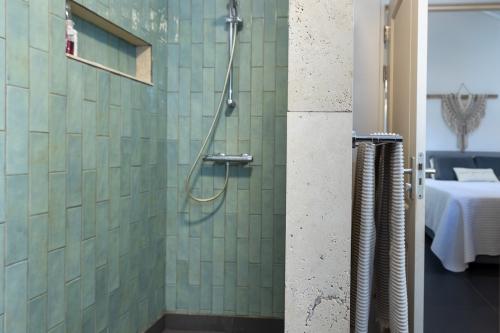master_shower_large